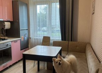 Продам 2-ком. квартиру, 51 м2, Чебаркуль, улица Энгельса, 62