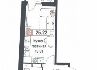 Продается квартира студия, 25.2 м2, Мурино, ЖК Авиатор