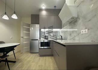 Сдается в аренду однокомнатная квартира, 40 м2, Казань, улица Мансура Хасанова, 13