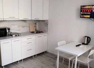 Сдается в аренду квартира студия, 25 м2, Сочи, улица Калараша, 64/13к2