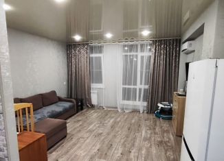 Сдам квартиру студию, 42 м2, Сочи, улица Камо, 70