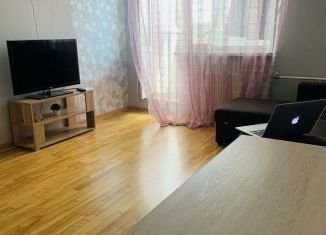 Продажа квартиры студии, 26.4 м2, посёлок Шушары, ЖК Шушары, Первомайская улица, 5к1