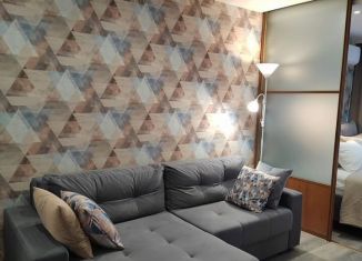 Сдача в аренду 1-ком. квартиры, 30 м2, Сочи, улица Молокова, 26, микрорайон Черемушки