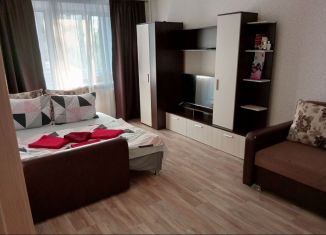 Сдается 1-ком. квартира, 34 м2, Казань, проспект Ямашева, 25