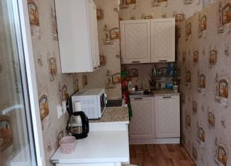 Аренда квартиры студии, 26 м2, посёлок Парголово, улица Николая Рубцова, 5, ЖК Северная Долина