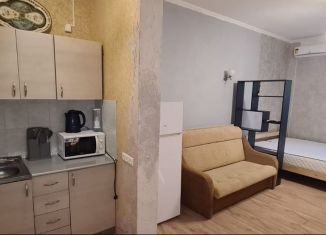 Сдается в аренду квартира студия, 31 м2, Сочи, улица Ручей Видный, 68