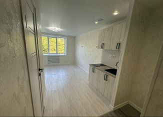 Продаю квартиру студию, 20 м2, Нижний Новгород, улица Старых Производственников, 9, Автозаводский район