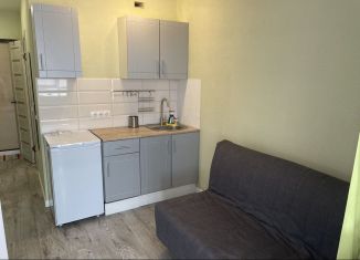 Аренда квартиры студии, 17 м2, Тюмень, улица Новосёлов, 117