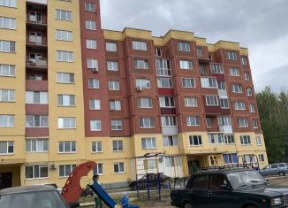 Продажа 1-ком. квартиры, 45 м2, рабочий поселок Ишеевка, Пионерская улица, 23