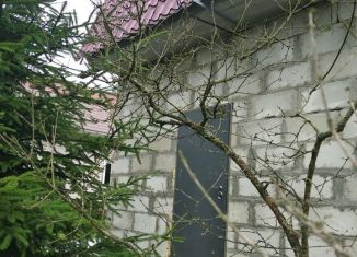 Продается дом, 97 м2, садоводческое некоммерческое товарищество Берёзки, садоводческое некоммерческое товарищество Берёзки, 79