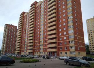 Сдам в аренду 1-ком. квартиру, 38 м2, Пермь, Хабаровская улица, 56А, ЖК Боровики