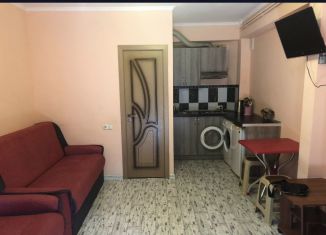 Квартира в аренду студия, 22 м2, Алушта, Кипарисная улица, 4