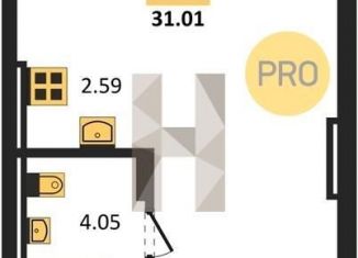 Продажа квартиры студии, 31 м2, Новосибирск, метро Студенческая, Пермская улица, 12к2