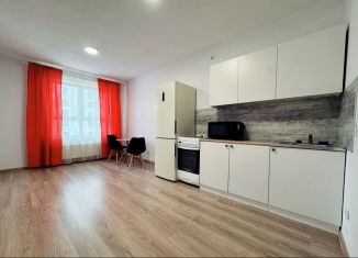 Сдам 1-ком. квартиру, 41 м2, Екатеринбург