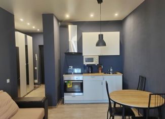 Сдам в аренду квартиру студию, 25 м2, Новосибирск, улица Михаила Кулагина, 35, Октябрьский район