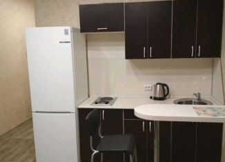 Сдам в аренду квартиру студию, 21 м2, Новосибирск, улица Виктора Уса, 4