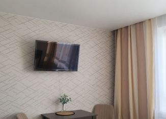 Сдаю в аренду квартиру студию, 24.4 м2, Новосибирск, Сухарная улица, 107/1, метро Заельцовская