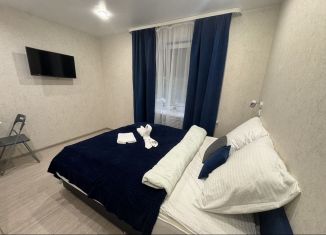 Сдаю в аренду 1-комнатную квартиру, 25 м2, Удмуртия, Удмуртская улица, 267/3