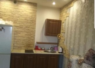 Сдается в аренду квартира студия, 24 м2, Новосибирск, улица Твардовского, 22