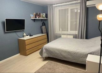 Сдаю в аренду 1-комнатную квартиру, 40.6 м2, Санкт-Петербург, проспект Юрия Гагарина, 48к1