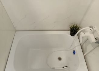 Сдача в аренду 1-комнатной квартиры, 15 м2, Новосибирск, Дачная улица, 37, метро Заельцовская