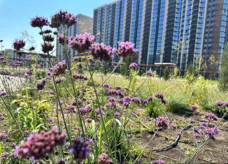 Продам 2-ком. квартиру, 65.8 м2, Краснодар, микрорайон Образцово