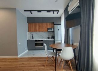 Аренда 1-ком. квартиры, 33 м2, Ростов-на-Дону, Красноармейская улица, 157В/83с1