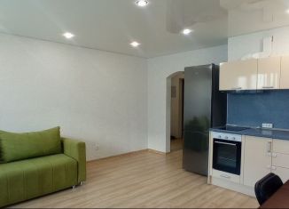 Сдача в аренду квартиры студии, 30 м2, Республика Башкортостан, улица Машинистов, 8