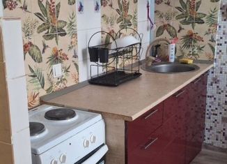 Сдам квартиру студию, 24 м2, Пермь, улица Карбышева, 47А