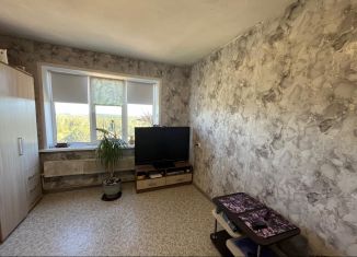 1-комнатная квартира на продажу, 27 м2, Смоленск, посёлок Пронино, 7