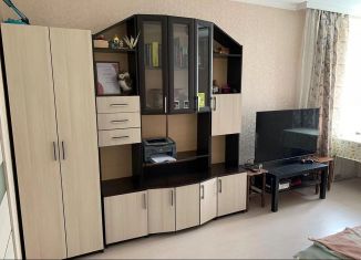 Сдаю в аренду 1-ком. квартиру, 45 м2, Ростов-на-Дону, улица Вересаева, 103/2, ЖК Александровский