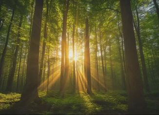 Продажа земельного участка, 30 сот., поселок Николина Гора, улица Лесное Кольцо, 3