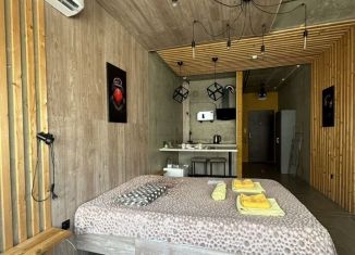 Сдаю квартиру студию, 30 м2, Краснодар, Круговая улица, 4Вк7, Фестивальный микрорайон