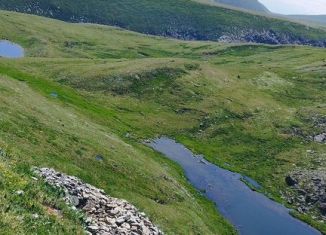 Продам участок, 3500 сот., Республика Алтай