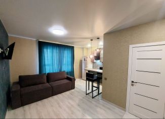 Сдача в аренду квартиры студии, 24.5 м2, Сыктывкар, Петрозаводская улица, 43, район Орбита