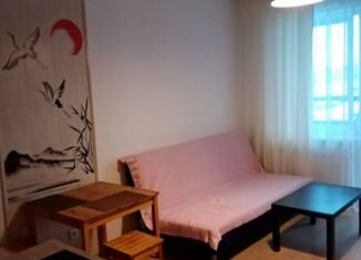 Квартира в аренду студия, 26 м2, Санкт-Петербург, проспект Ветеранов, 169к2, Красносельский район