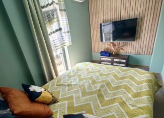 Аренда 1-ком. квартиры, 29.9 м2, Сочи, Красная улица, 34А