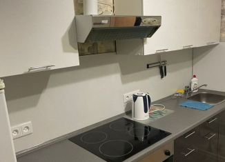 Двухкомнатная квартира в аренду, 55 м2, Уфа, улица Шмидта, 160