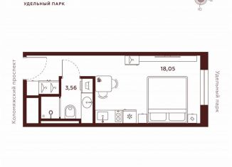 Продаю квартиру студию, 21.6 м2, Санкт-Петербург, метро Пионерская