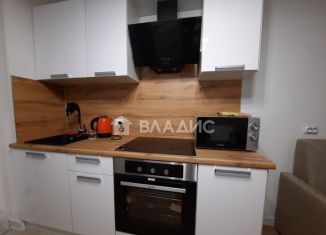 Продается квартира студия, 26 м2, Мурино, Екатерининская улица, 3/4, ЖК Территория