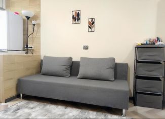 Продается квартира студия, 18 м2, Сочи, микрорайон Ареда, Дагомысский переулок, 11