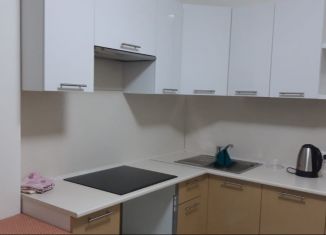 Аренда 1-ком. квартиры, 45.5 м2, Свердловская область, улица Белинского, 177Ак3