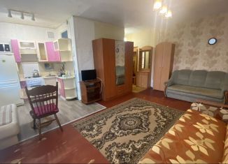 Аренда 2-комнатной квартиры, 43 м2, Волхов, Молодёжная улица, 10