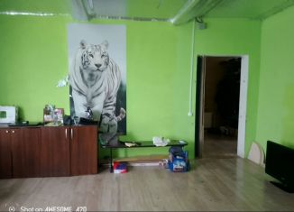 Продаю дом, 79 м2, Республика Башкортостан, Колхозная улица, 63