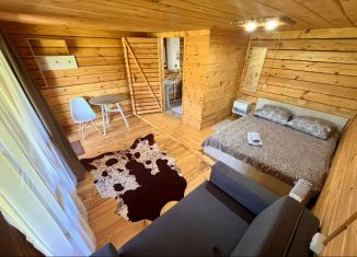 Сдам дом, 16 м2, Республика Алтай, Р-256 Чуйский тракт, 642-й километр