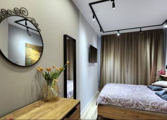 Продаю 1-комнатную квартиру, 48.5 м2, Санкт-Петербург, Афанасьевская улица, 1, Афанасьевская улица