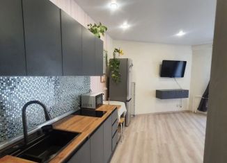 Сдается в аренду квартира студия, 30 м2, поселок Зональная Станция, Совхозная улица, 2Б