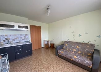 Продам 1-комнатную квартиру, 19.6 м2, Барнаул, 5-я Западная улица, 67