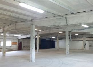 Аренда производства, 1280 м2, Ленинградская область, посёлок Новый Свет, 100