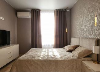 Сдается в аренду однокомнатная квартира, 40 м2, Владимир, улица Лакина, 2Г